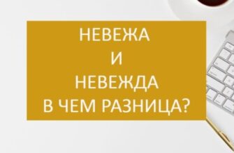 Невежа и невежда в чем разница