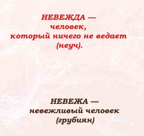 невежа и невежда значения слов кратко невежа и невежда значения слов