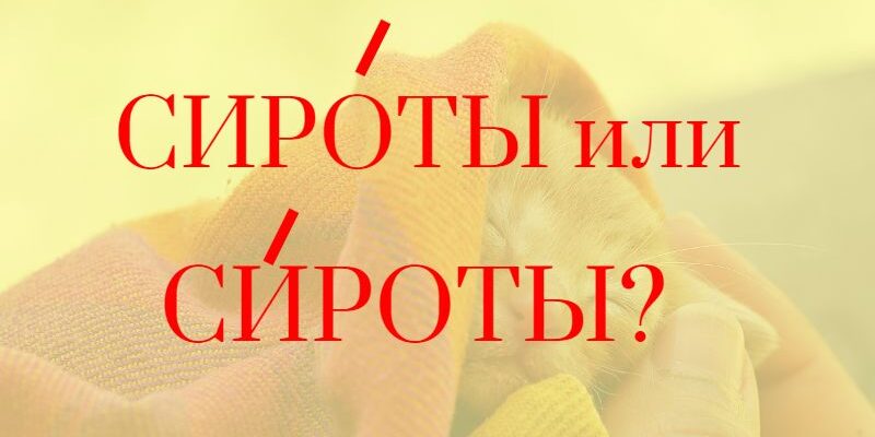 СирОты или сИроты ударение в слове