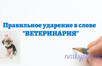 Правильное ударение в слове ветеринария